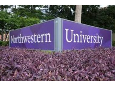Northwestern University Online Counseling Degree